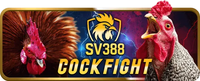 Cá cược thể thao 67899aa